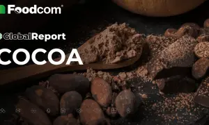 Foodcom Global Report: COCOA. Kakao w proszku na łyżce, ziarna i kawałki czekolady. Czy to ranking najzdrowsze kakao?