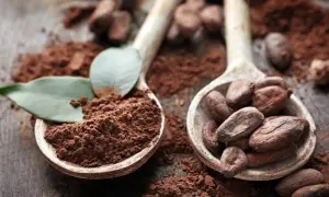 Kakao naturalne a alkalizowane: Klucz do smaku i zdrowia w kuchni