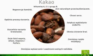 Jakie właściwości ma kakao? Odkryj jego zdrowotne korzyści i ryzyka