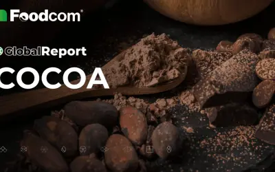 Foodcom Global Report: COCOA. Kakao w proszku na łyżce, ziarna i kawałki czekolady. Czy to ranking najzdrowsze kakao?