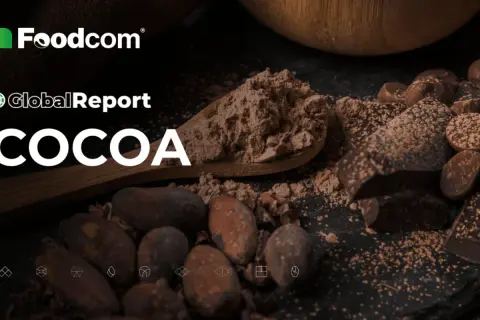 Foodcom Global Report: COCOA. Kakao w proszku na łyżce, ziarna i kawałki czekolady. Czy to ranking najzdrowsze kakao?