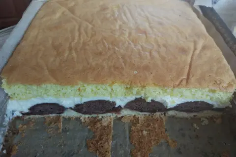 Ciasto pawie oczko z kremem i czekoladowymi kropkami, gotowe do krojenia.