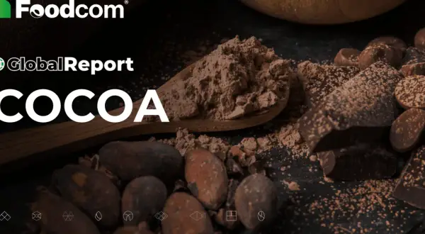 Foodcom Global Report: COCOA. Kakao w proszku na łyżce, ziarna i kawałki czekolady. Czy to ranking najzdrowsze kakao?