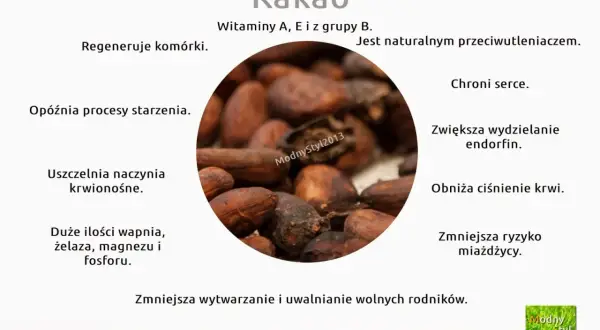 Jakie właściwości ma kakao? Odkryj jego zdrowotne korzyści i ryzyka