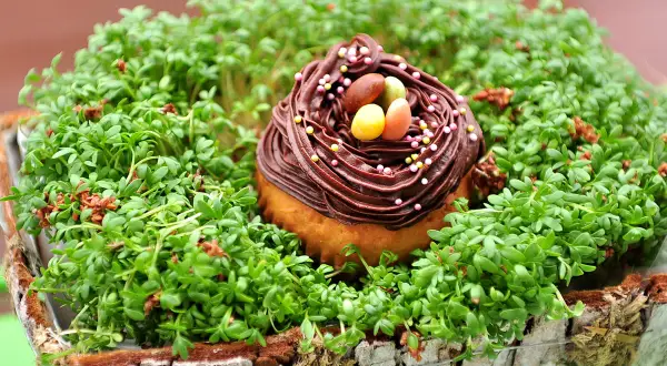 Gniazdka na babeczki wielkanocne: 3 proste metody krok po kroku