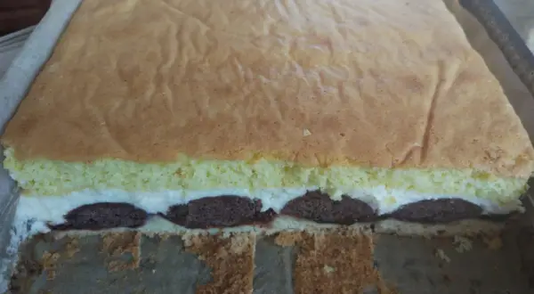 Ciasto pawie oczko z kremem i czekoladowymi kropkami, gotowe do krojenia.