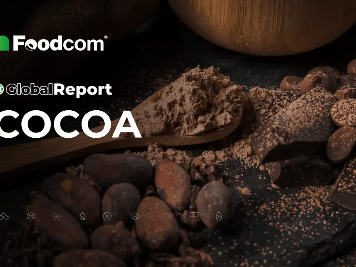 Foodcom Global Report: COCOA. Kakao w proszku na łyżce, ziarna i kawałki czekolady. Czy to ranking najzdrowsze kakao?