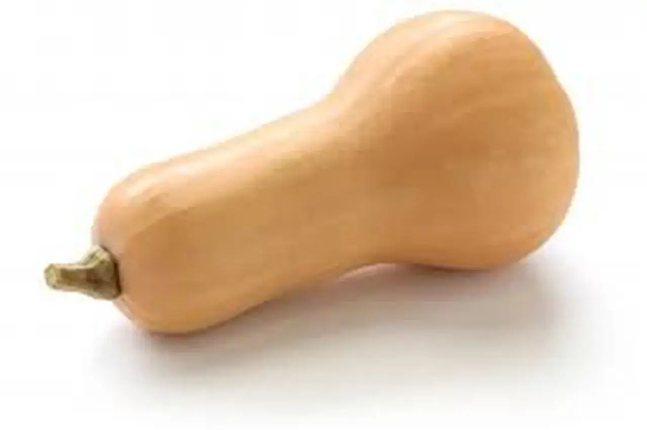 dynia Hokkaido i Butternut