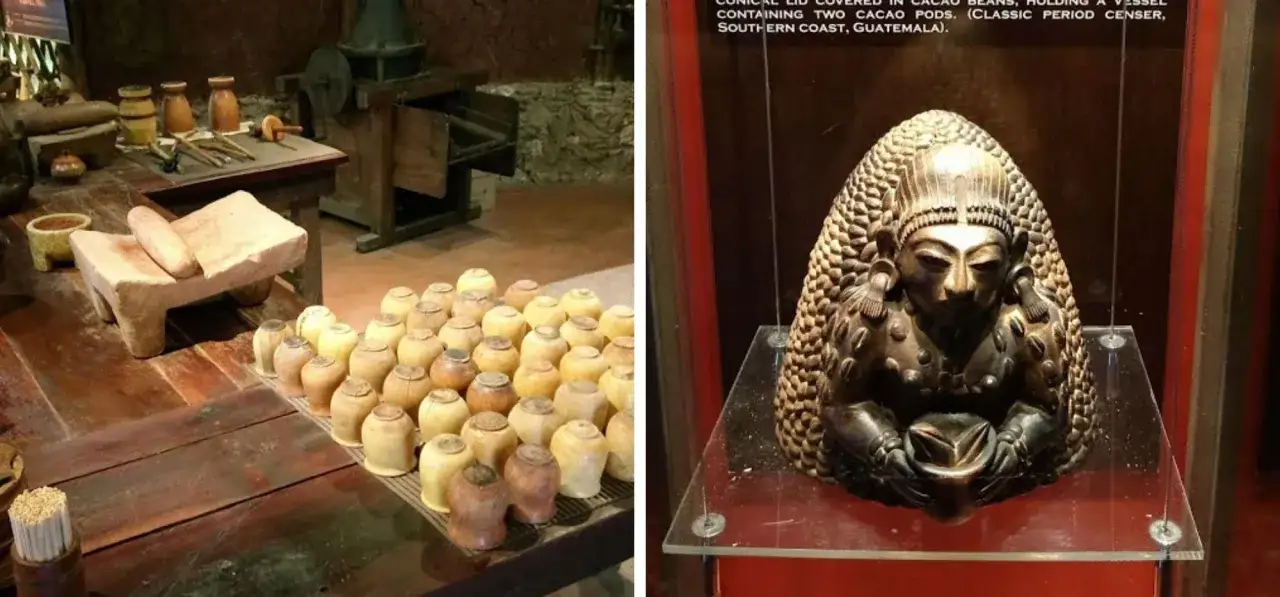 Starożytne narzędzia do obróbki kakao i ceramiczne naczynia, które mogą pomóc odkryć, kto wymyślił czekoladę.