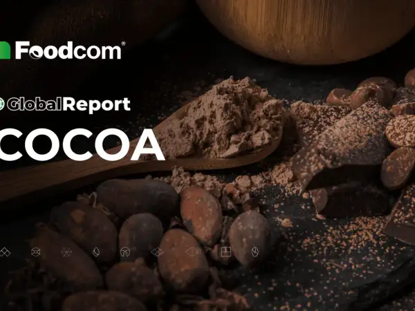 Foodcom Global Report: COCOA. Kakao w proszku na łyżce, ziarna i kawałki czekolady. Czy to ranking najzdrowsze kakao?