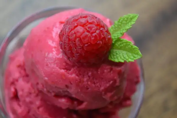 Jak zrobić sorbet, by był kremowy, nie twardy? Sekrety konsystencji